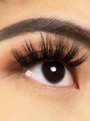 Load image into Gallery viewer, ENVY
