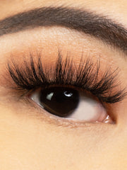 Load image into Gallery viewer, ENVY
