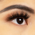 Load image into Gallery viewer, GREED
