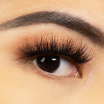 Load image into Gallery viewer, GREED
