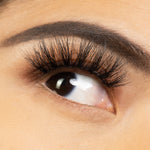 Load image into Gallery viewer, PRIDE
