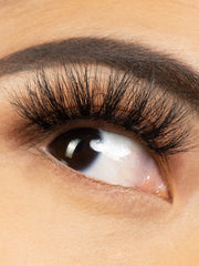 Load image into Gallery viewer, PRIDE
