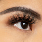 Load image into Gallery viewer, PRIDE
