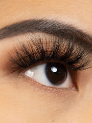 Load image into Gallery viewer, PRIDE
