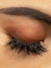 Load image into Gallery viewer, PRIDE
