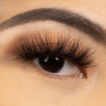 Load image into Gallery viewer, PRIDE
