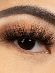 Load image into Gallery viewer, PRIDE
