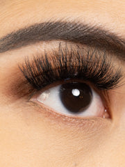 Load image into Gallery viewer, WRATH
