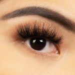 Load image into Gallery viewer, WRATH
